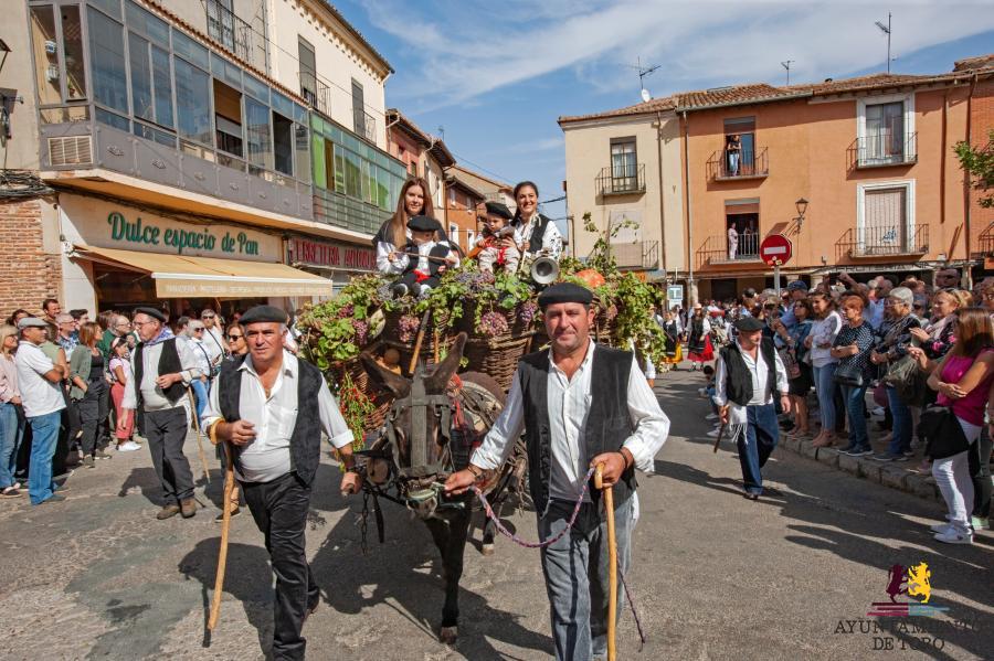 Toro ultima los preparativos del tradicional desfile de carros de la Vendimia