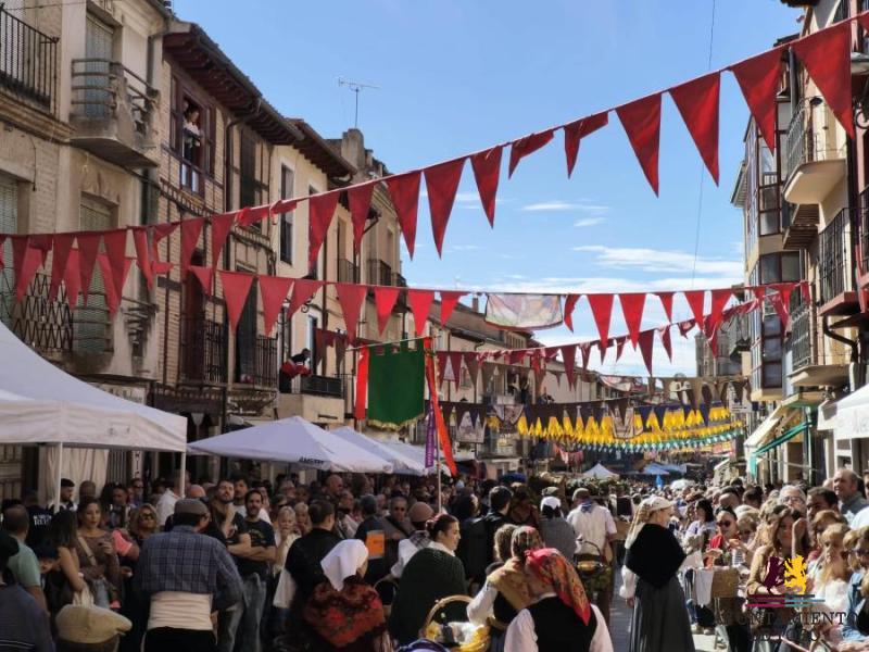 Toro despide una Vendimia multitudinaria