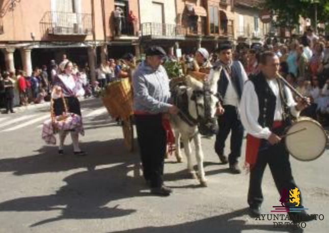 Festejos convoca el concurso para seleccionar el cartel promocional de la Vendimia