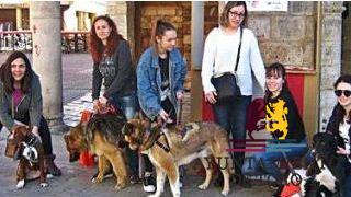 ``Cerme&ntilde;a`` promueve con una marcha la adopci&oacute;n y acogida de los animales abandonados