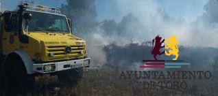 Un incendio forestal afecta a una zona de pinares en el paraje de ``Adalia``